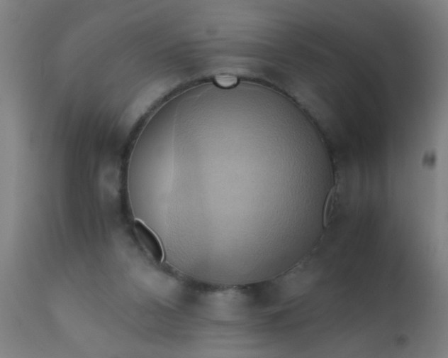 X0000110970112200907022255