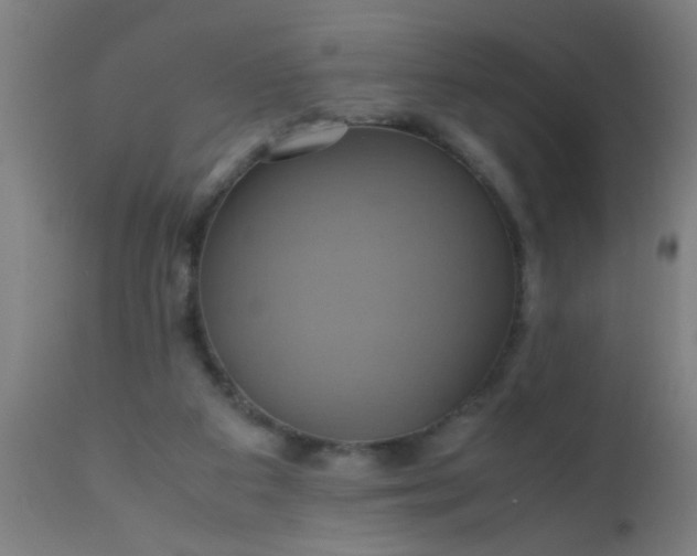 X0000110970113200907022255