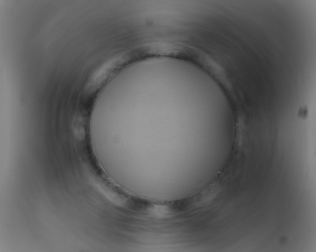 X0000110970114200907022255