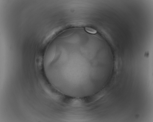 X0000110970115200907022255