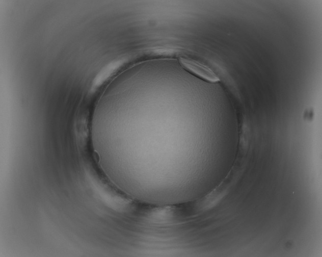 X0000110970116200907022255