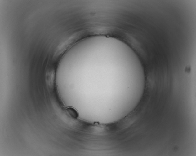 X0000110970118200907022255