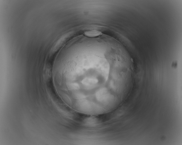 X0000110970119200907022255