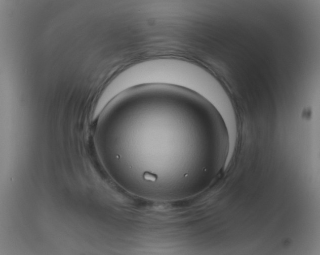 X0000110970121200907022255