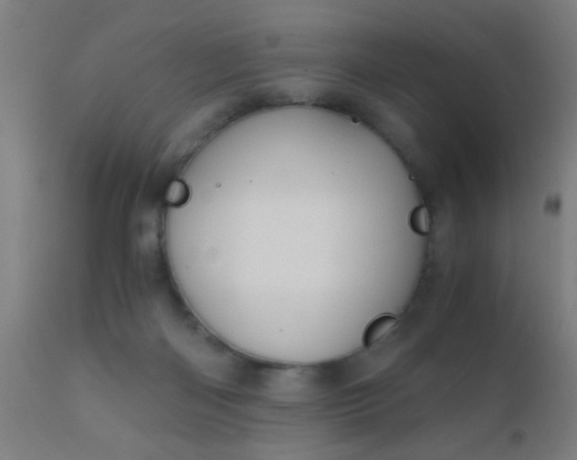 X0000110970122200907022254