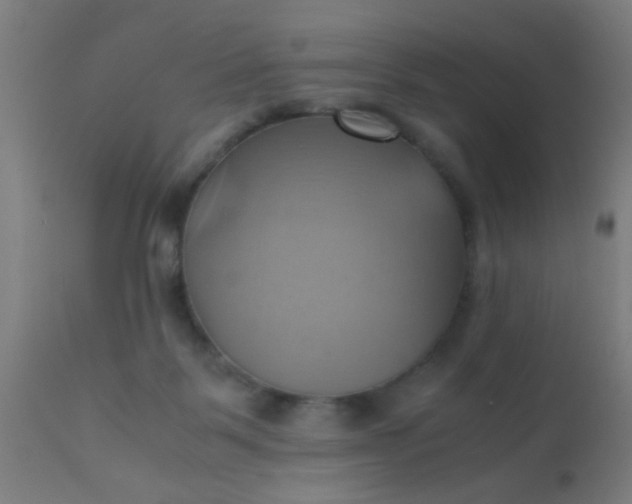 X0000110970123200907022254