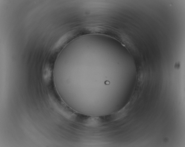 X0000110970124200907022254