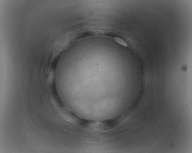 X0000110970125200907022254