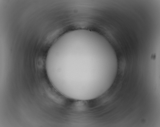 X0000110970126200907022254