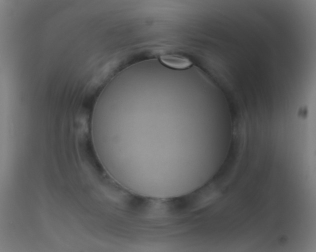 X0000110970127200907022254