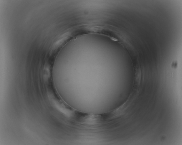 X0000110970128200907022254