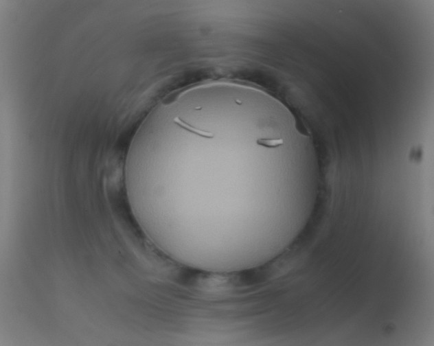 X0000110970129200907022254