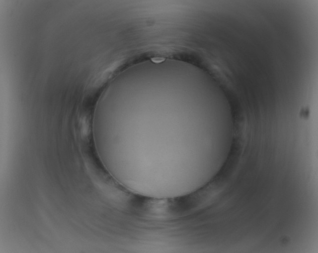 X0000110970131200907022254