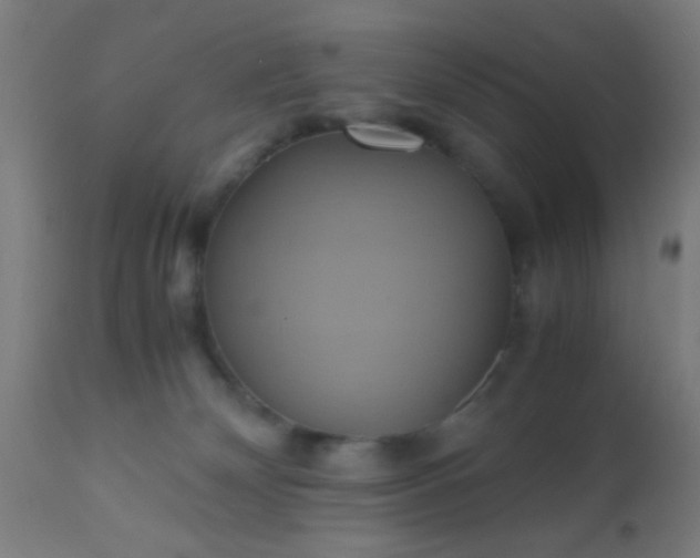 X0000110970132200907022254