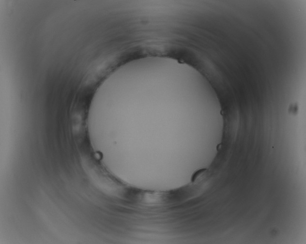 X0000110970134200907022254