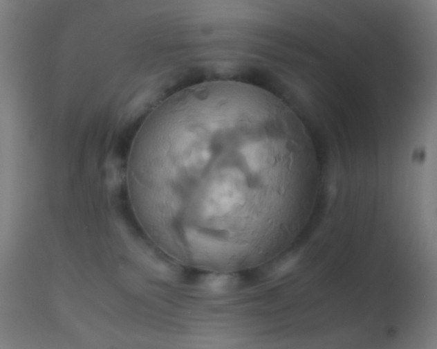 X0000110970135200907022254