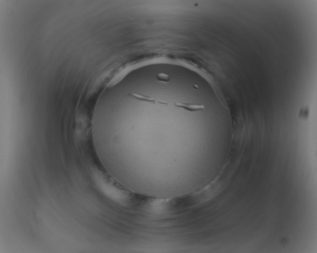 X0000110970136200907022254