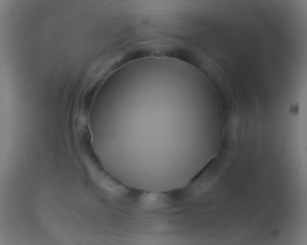 X0000110970137200907022254