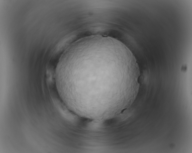 X0000110970138200907022254