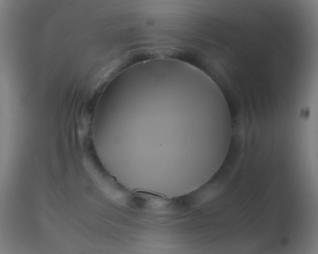 X0000110970139200907022254