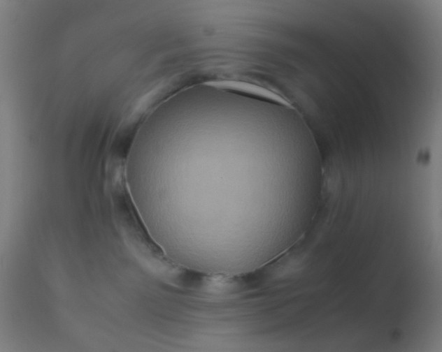 X0000110970141200907022254