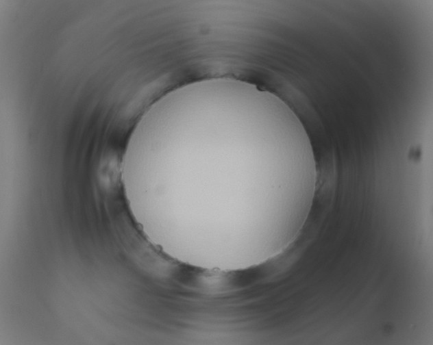 X0000110970142200907022254