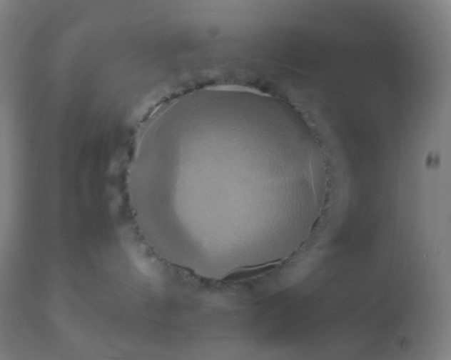 X0000110970144200907022254