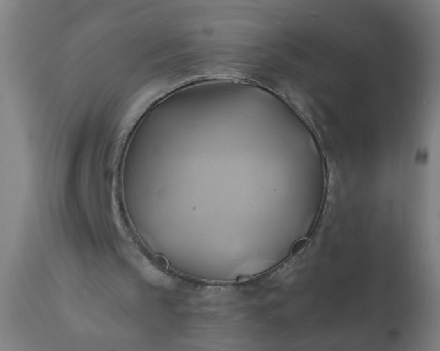 X0000110970145200907022254