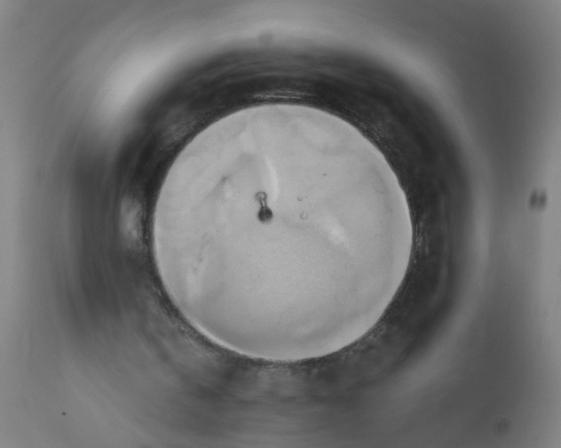 X0000110970146200907022254