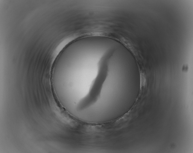 X0000110970147200907022254