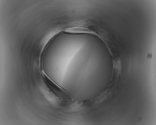 X0000110970148200907022254