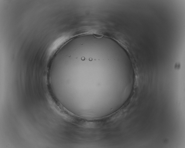 X0000110970149200907022254