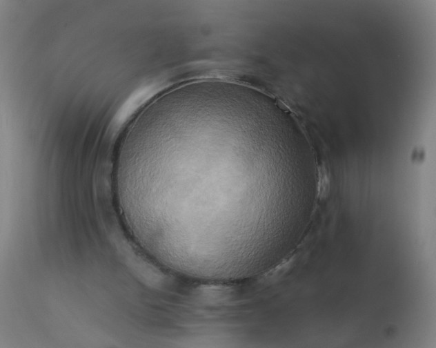 X0000110970150200907022254