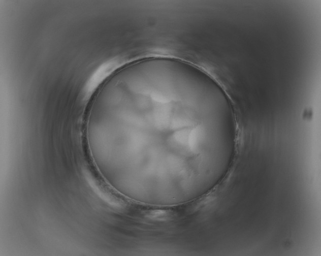 X0000110970151200907022254