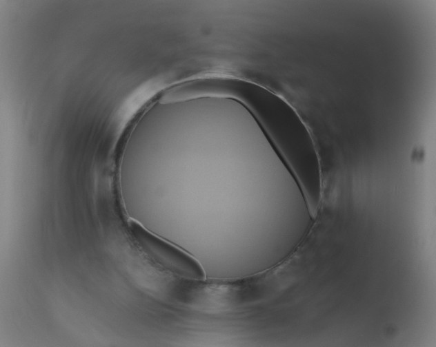 X0000110970152200907022254