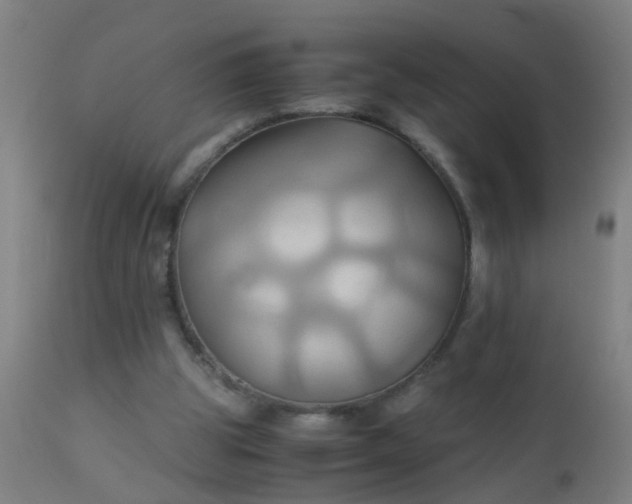 X0000110970153200907022254