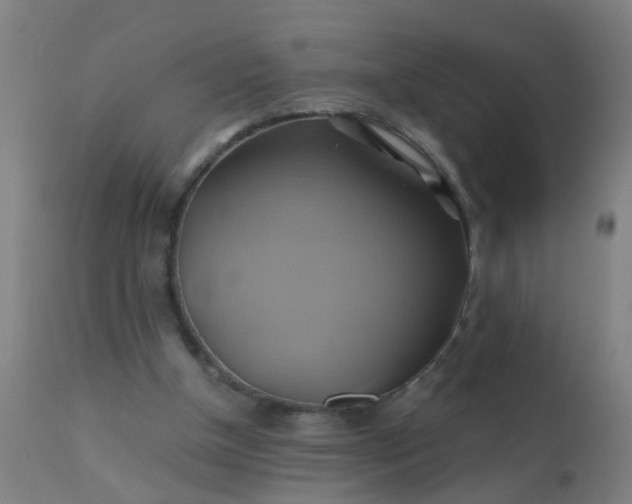 X0000110970154200907022254