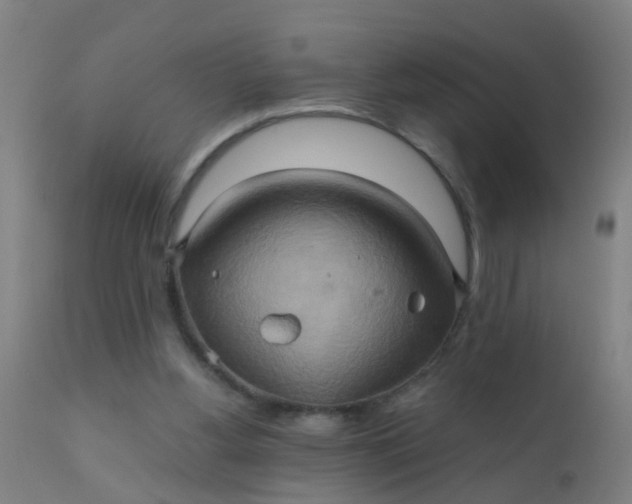 X0000110970156200907022254