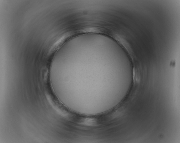 X0000110970157200907022254