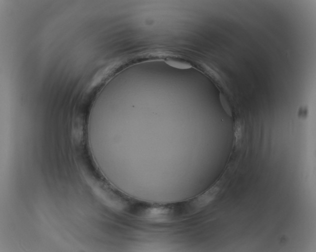 X0000110970158200907022254