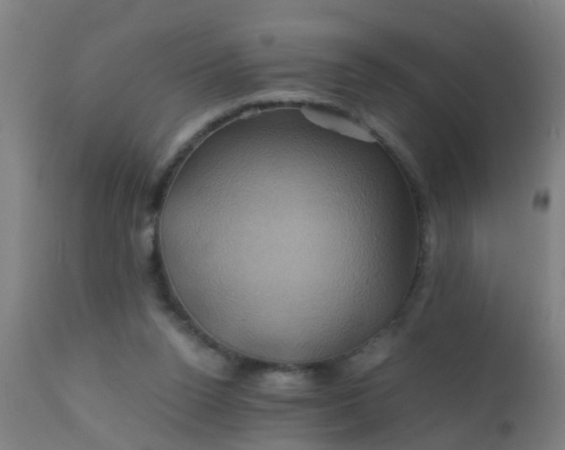 X0000110970160200907022254