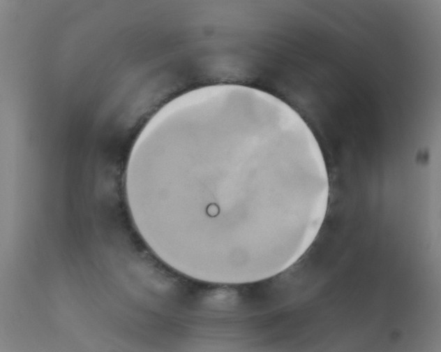 X0000110970162200907022254