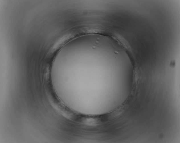 X0000110970163200907022254