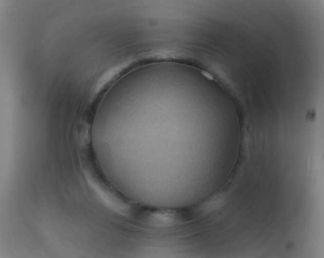 X0000110970164200907022254