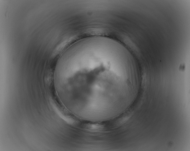 X0000110970165200907022254