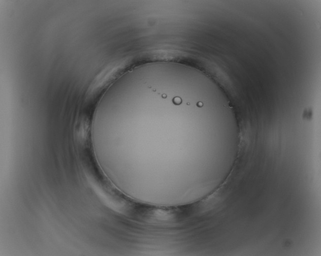 X0000110970166200907022254