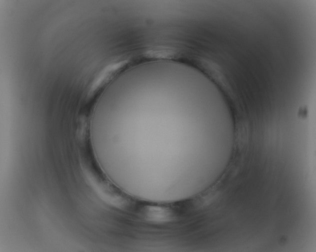 X0000110970167200907022254