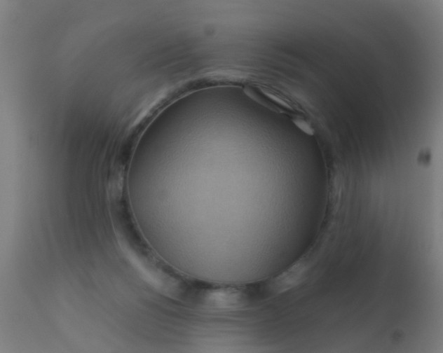 X0000110970168200907022254