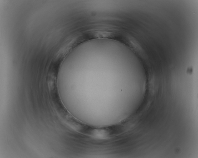 X0000110970169200907022254