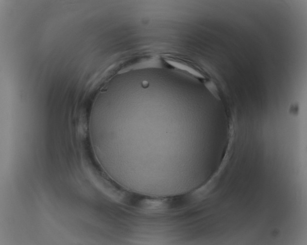 X0000110970170200907022254